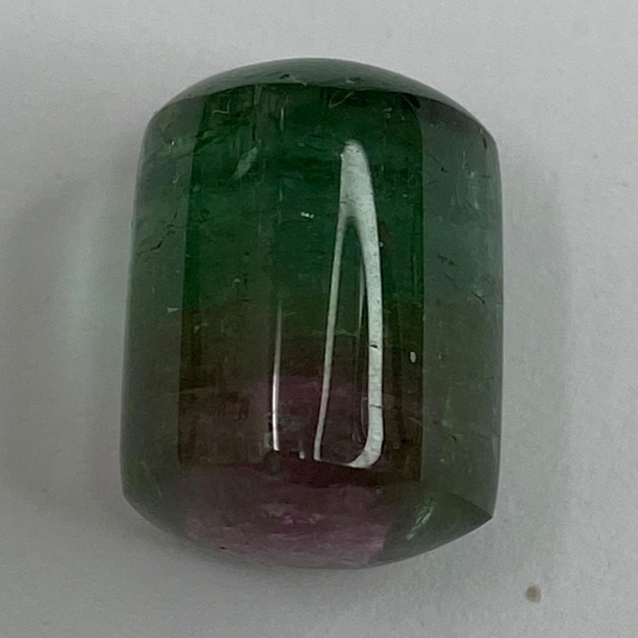 天然 バイカラートルマリン 12.78ct | よーだ@依田商会seg 