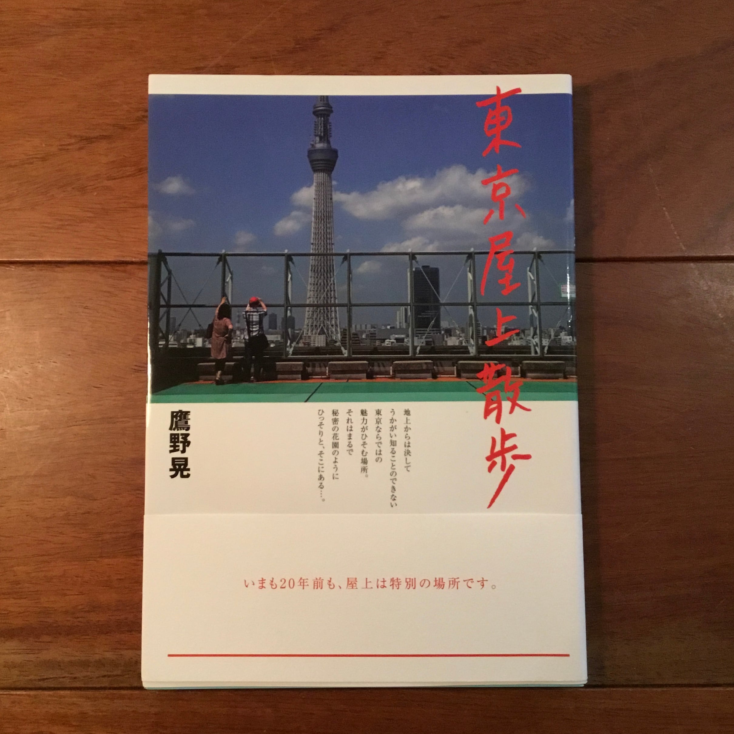 【中古】 磯崎新+篠山紀信 建築行脚 (8) マニエリスムの館 磯崎新+篠山紀信 建築行脚8 マニエリスムの館 | Flying Books