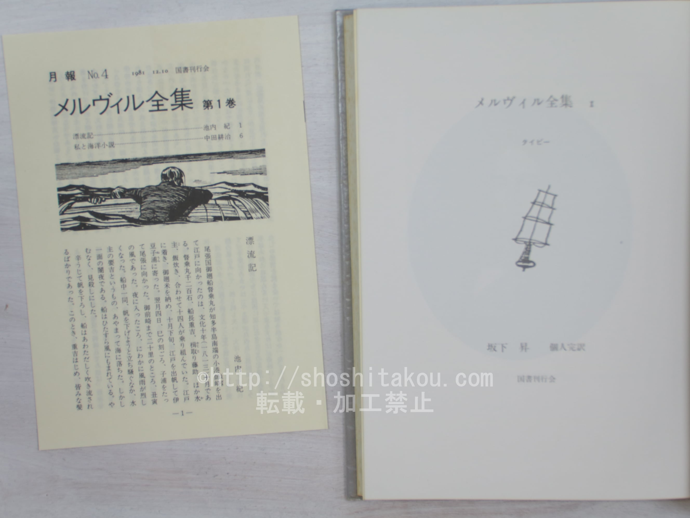 メルヴィル全集 1-11巻内、第9巻欠 10冊 / メルヴィル 坂下昇完訳