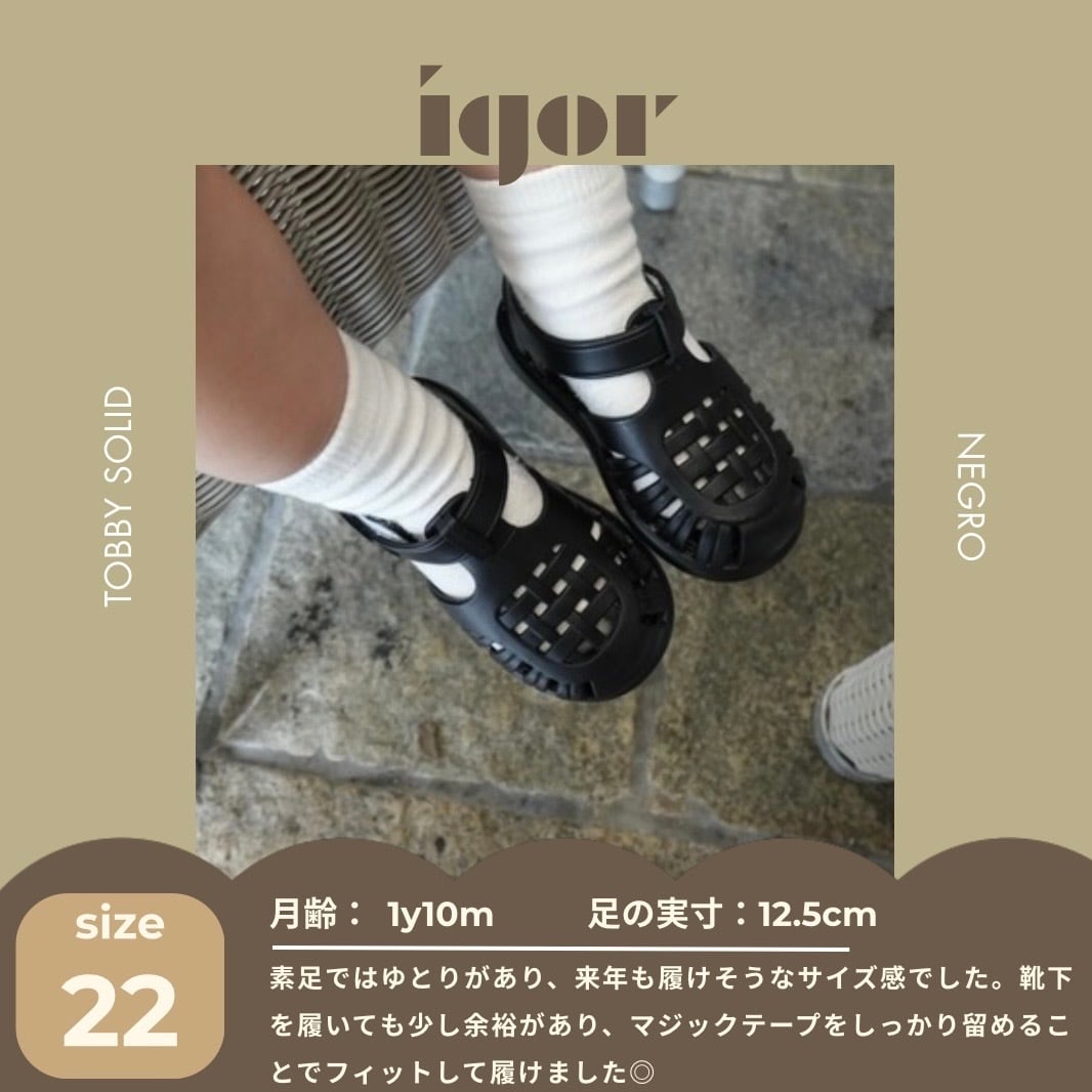 【即納/送料無料】igor / TOBBY SOLID / ARENA