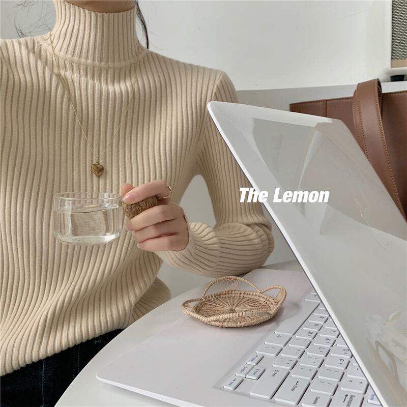 カラーニットストライプスリムトップス レディース ビッグFスモールZ韓国12846730192