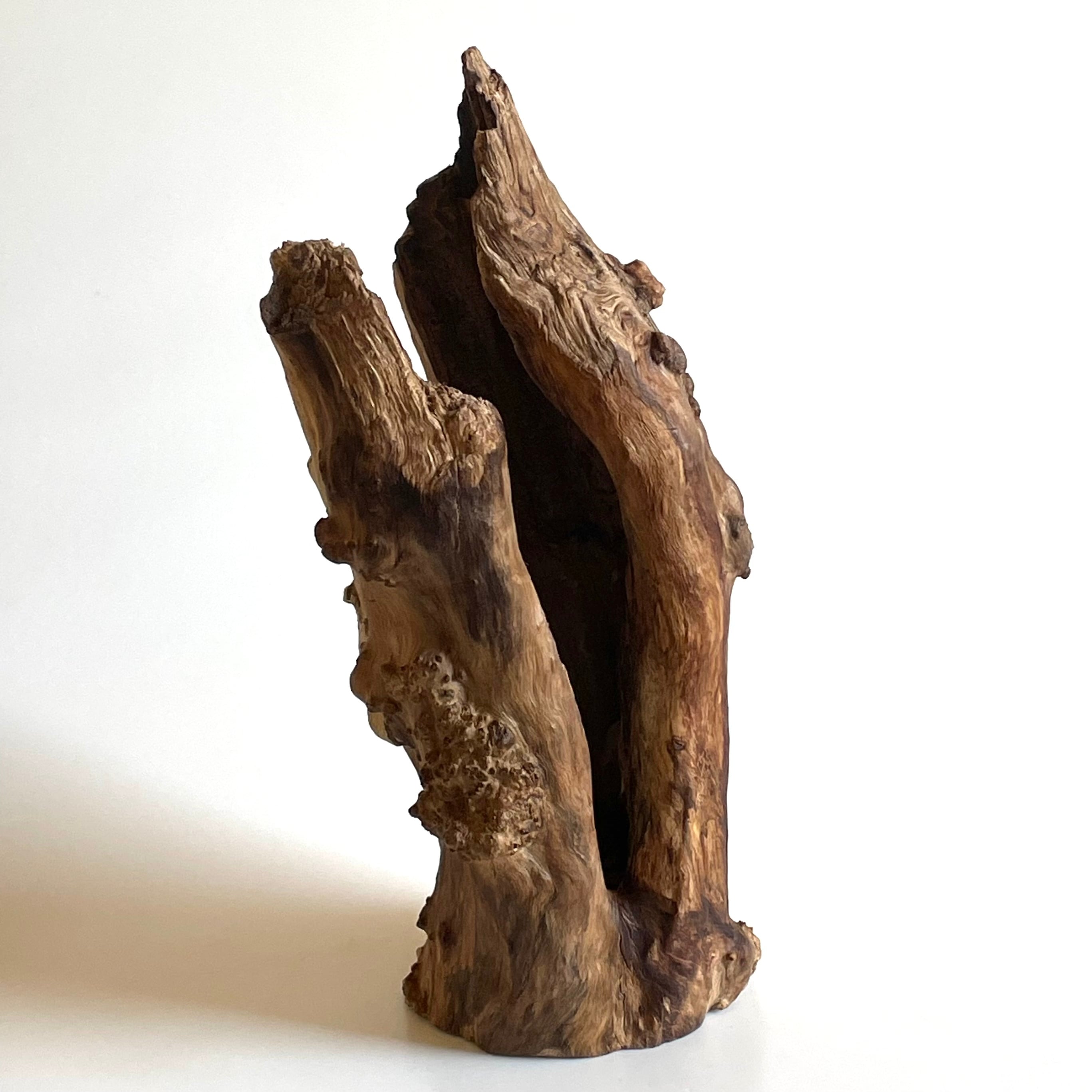 流木 台座  花梨瘤 2025年最新】Yahoo!オークション -流木(その他)の中古品・新品