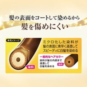 サロンドプロ 白髪染め ヘアマニキュア スピーディ 5 ナチュラルブラウン