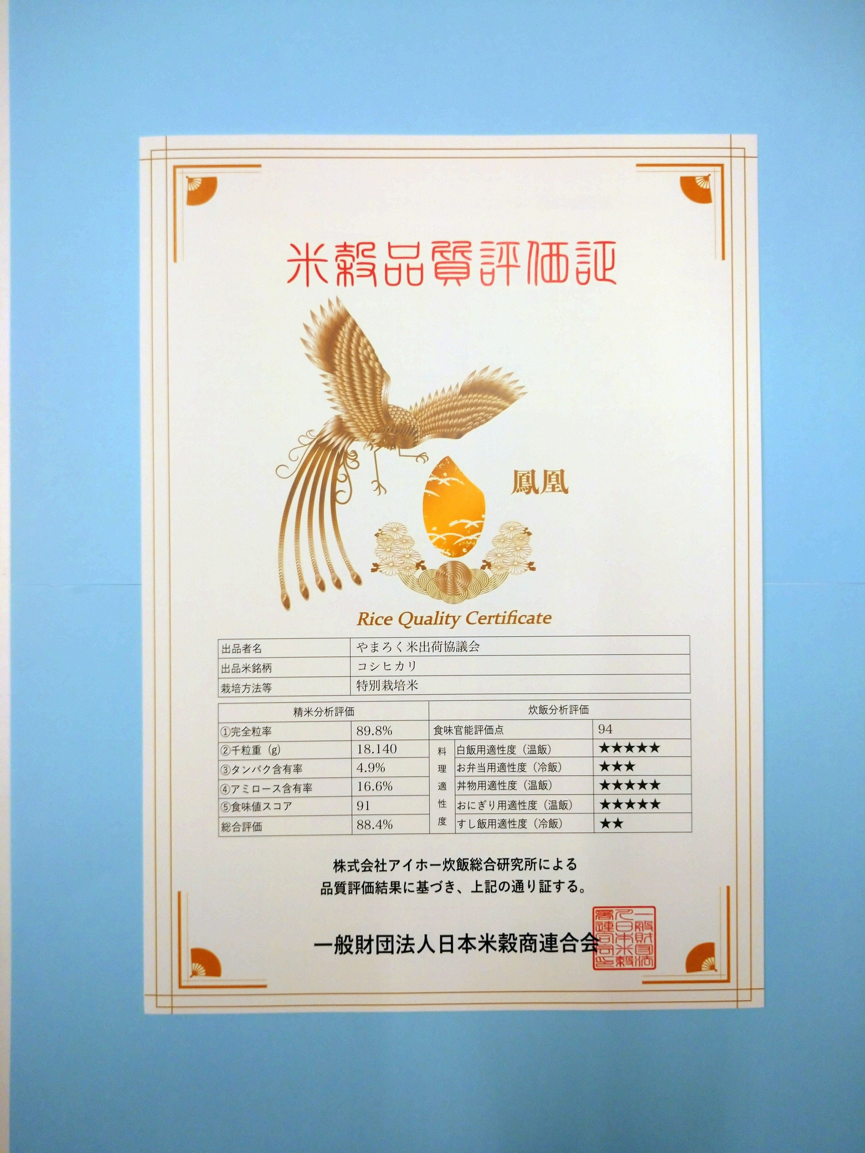 玄米】30kg 特別栽培米コシヒカリ（令和7年 福島県産）（送料込