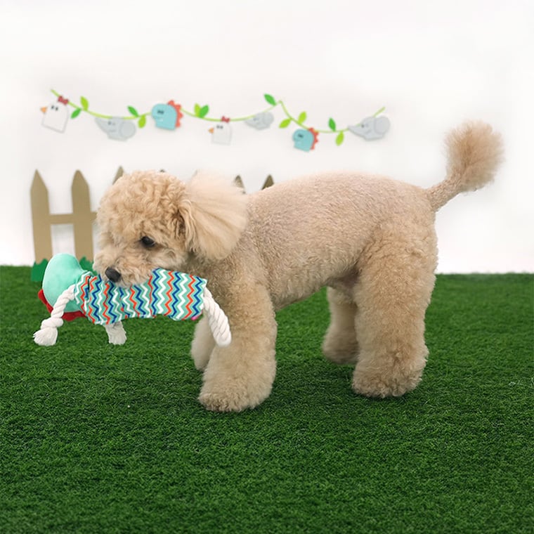 animal crunch rope toy 3color / 犬 おもちゃ 噛む カシャカシャ 知育玩具 鳴き笛入り 音が鳴る 可愛い わんちゃん 留守 おもちゃ 楽しい ストレス解消 韓国 ペット用品 小型犬 中型犬 ペット