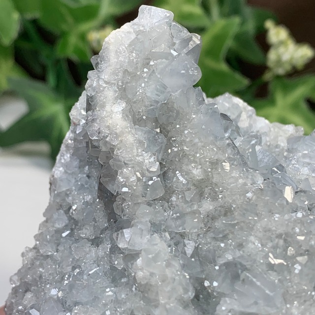 3.空色セレスタイトに住み着いているフローライトハリネズミさん