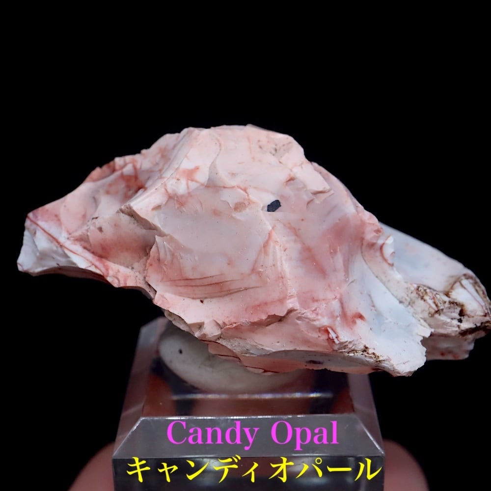自主採掘！プラズマオパール 392g OP110 原石 天然石鉱物