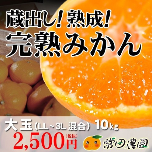 完熟蔵出みかん10Kg 大玉（2L・3L混合）