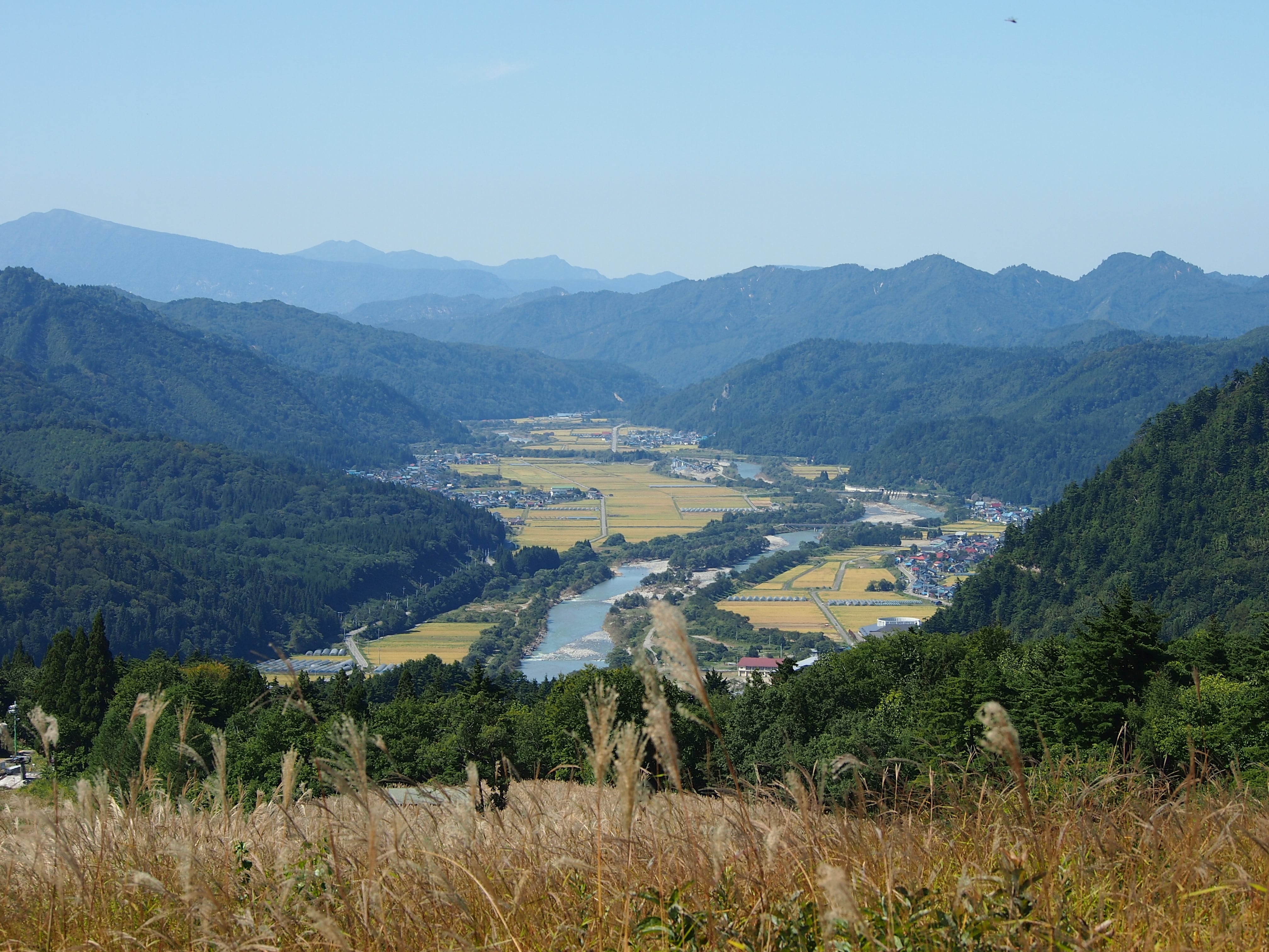 2024年度蒸留 ねっかSpecialEdition 720ml | ねっか online shop