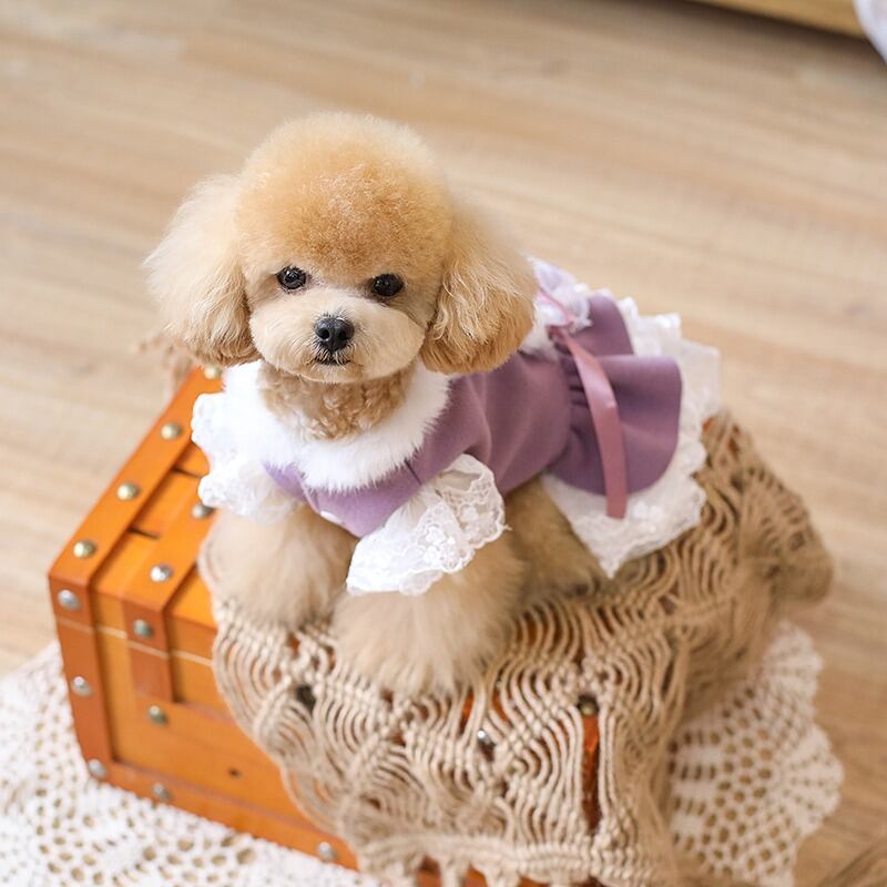 3434978371ce862069f826f15e4cdd