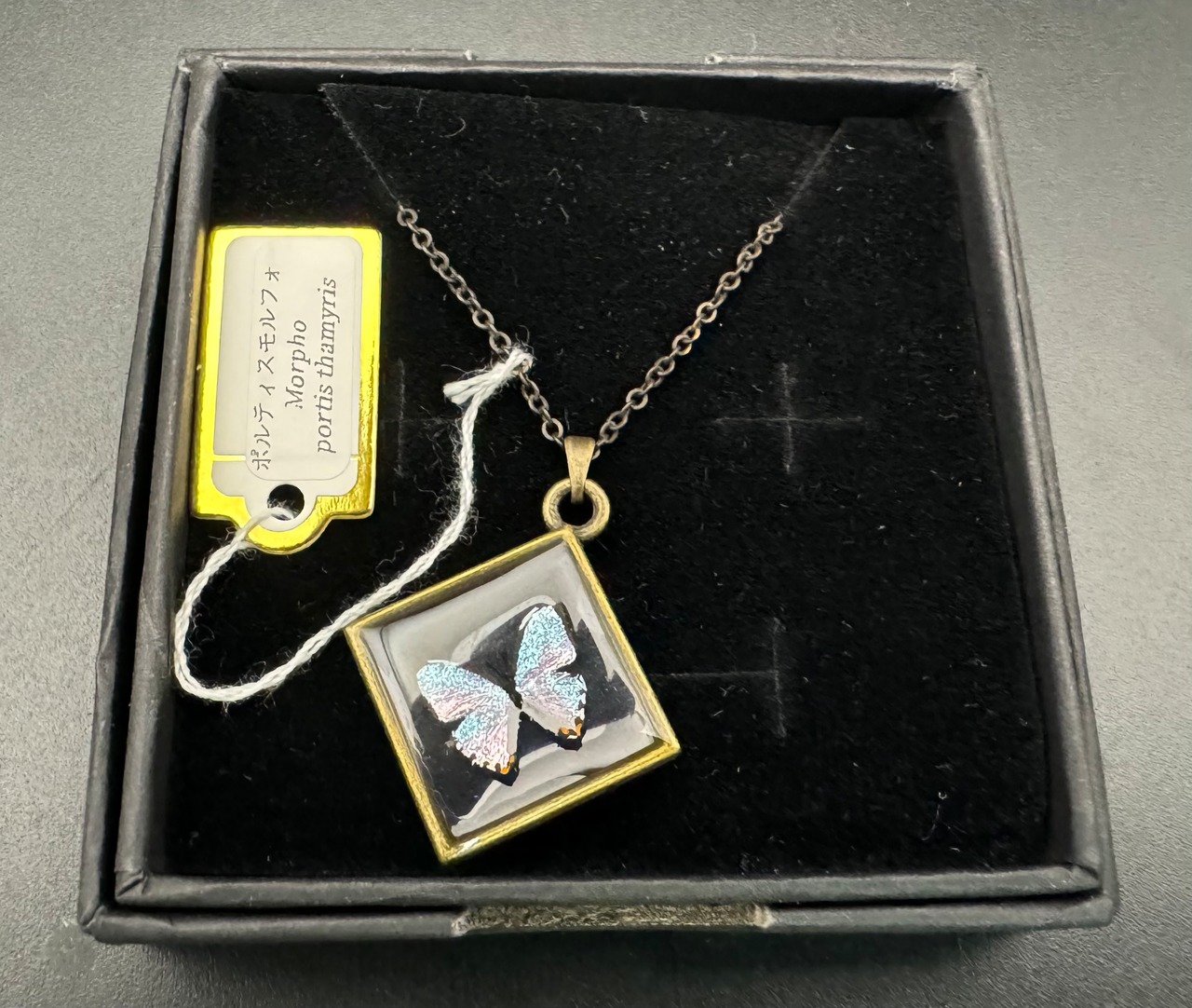 手書きネックレス(ポルティスモルフォ)