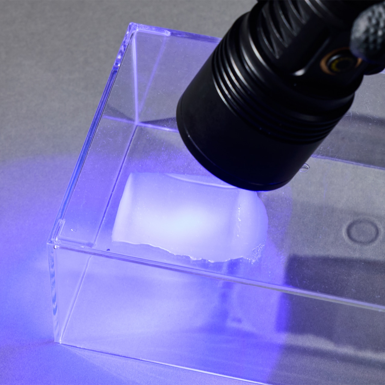 ZEG-NOVA 【2波長UVライト】