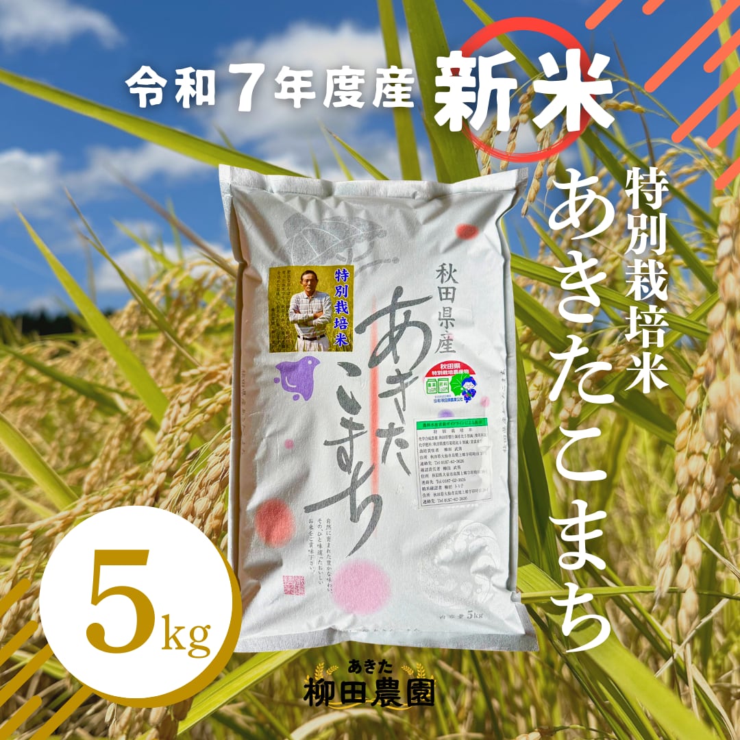 令和6年 秋田県産 新米 あきたこまち 減農薬栽培米 一等米