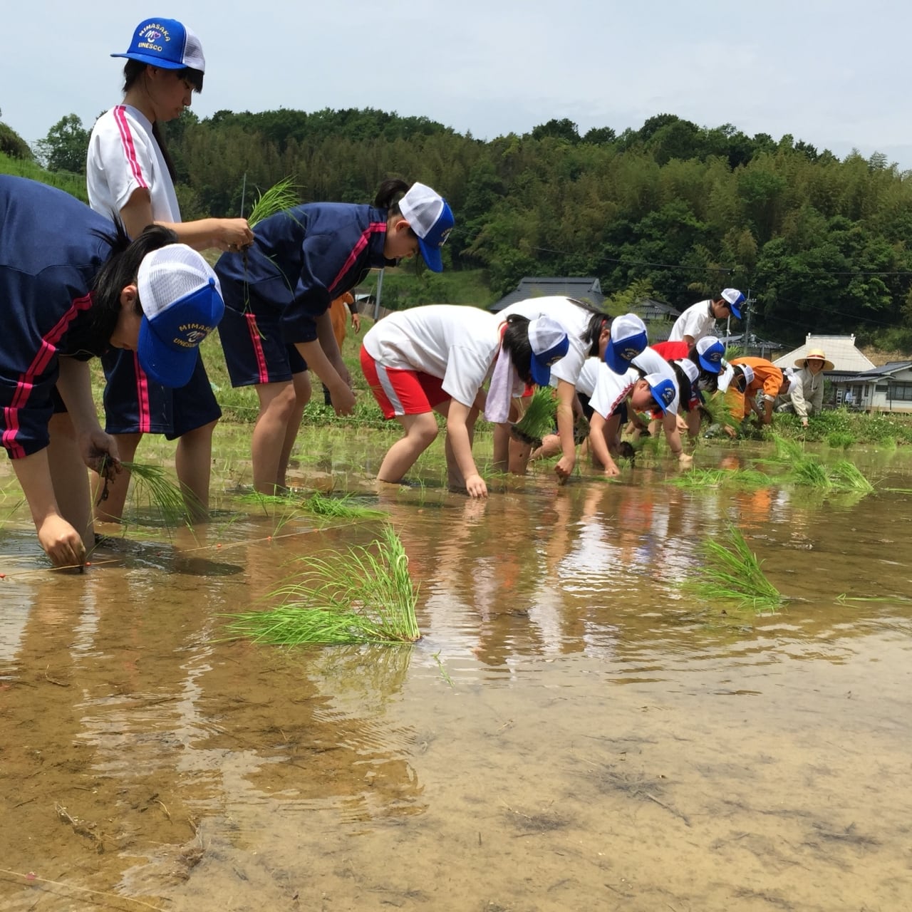 2025年産】棚田米＜玄米＞（5kg）※送料込み※ | ueyamaippin