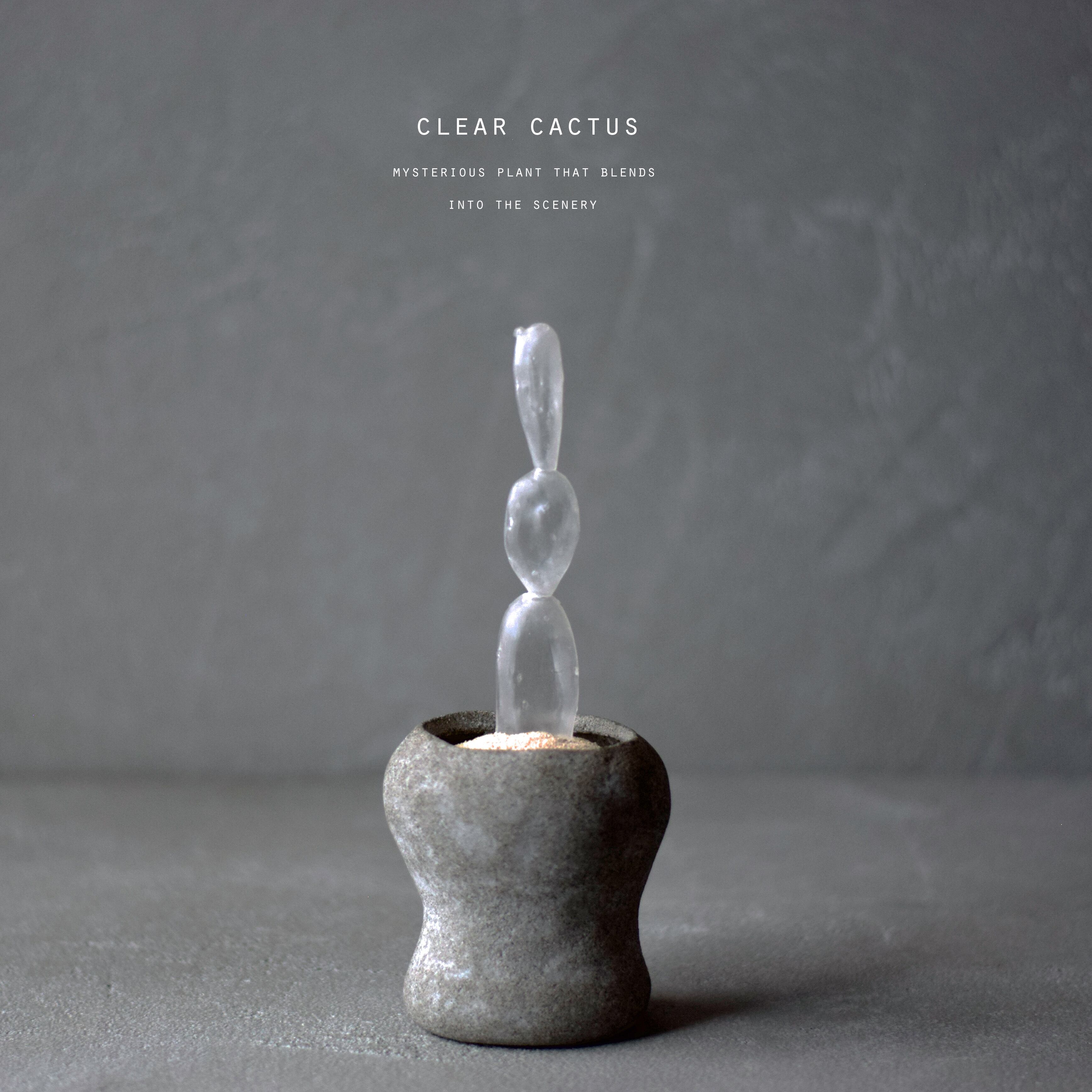 透明サボテン 003 （曇り） | Sabotensi