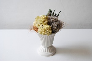 DAYFLOWERS ｜アレンジメント｜woolly-headed