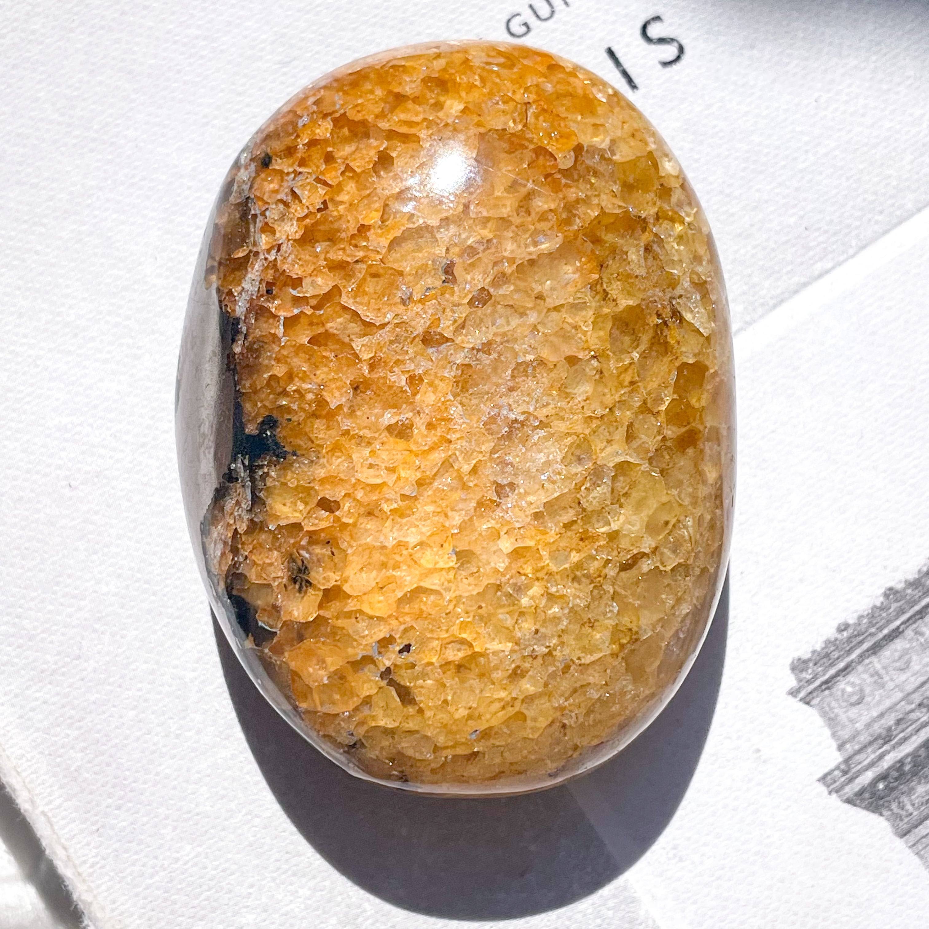 Golden Healer & Pyrite Palm 4 ✧ ゴールデンヒーラー&パイライト