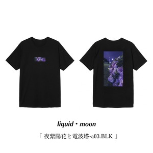 「夜紫陽花と電波塔-a03.BLK」