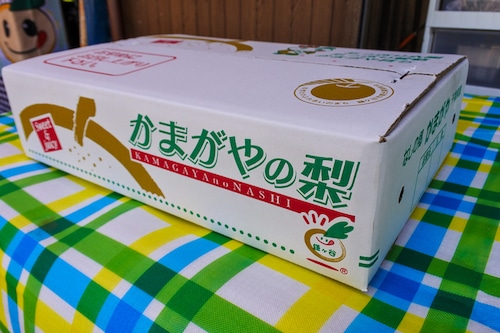 新高 10個以上 5kg