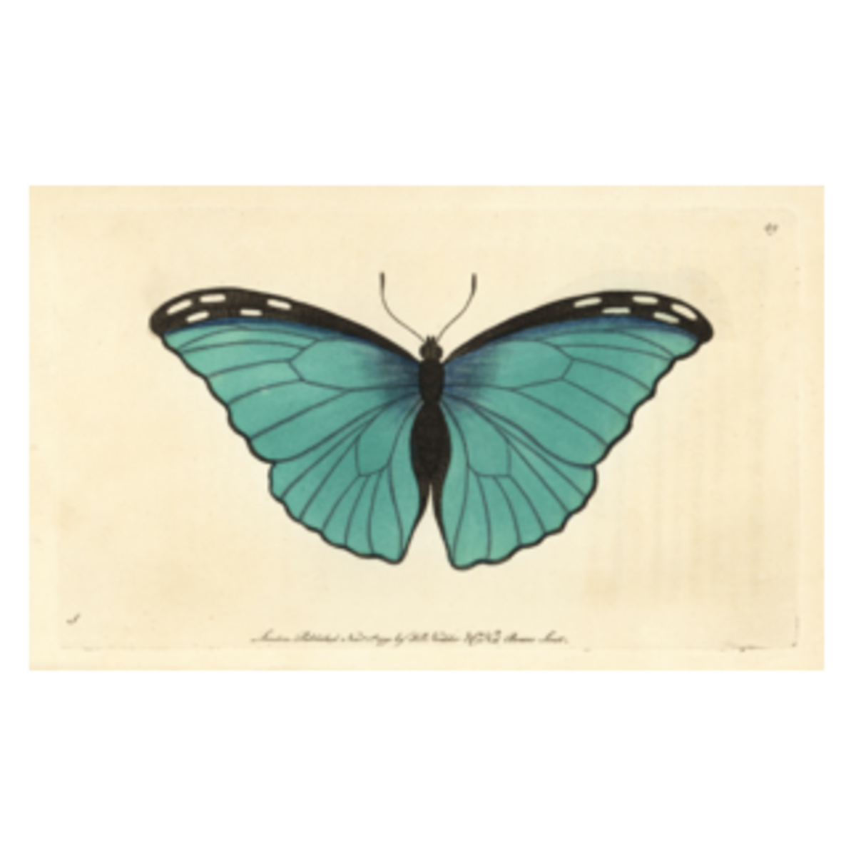 344c91e503a30cdc7d123d6b3d6fae