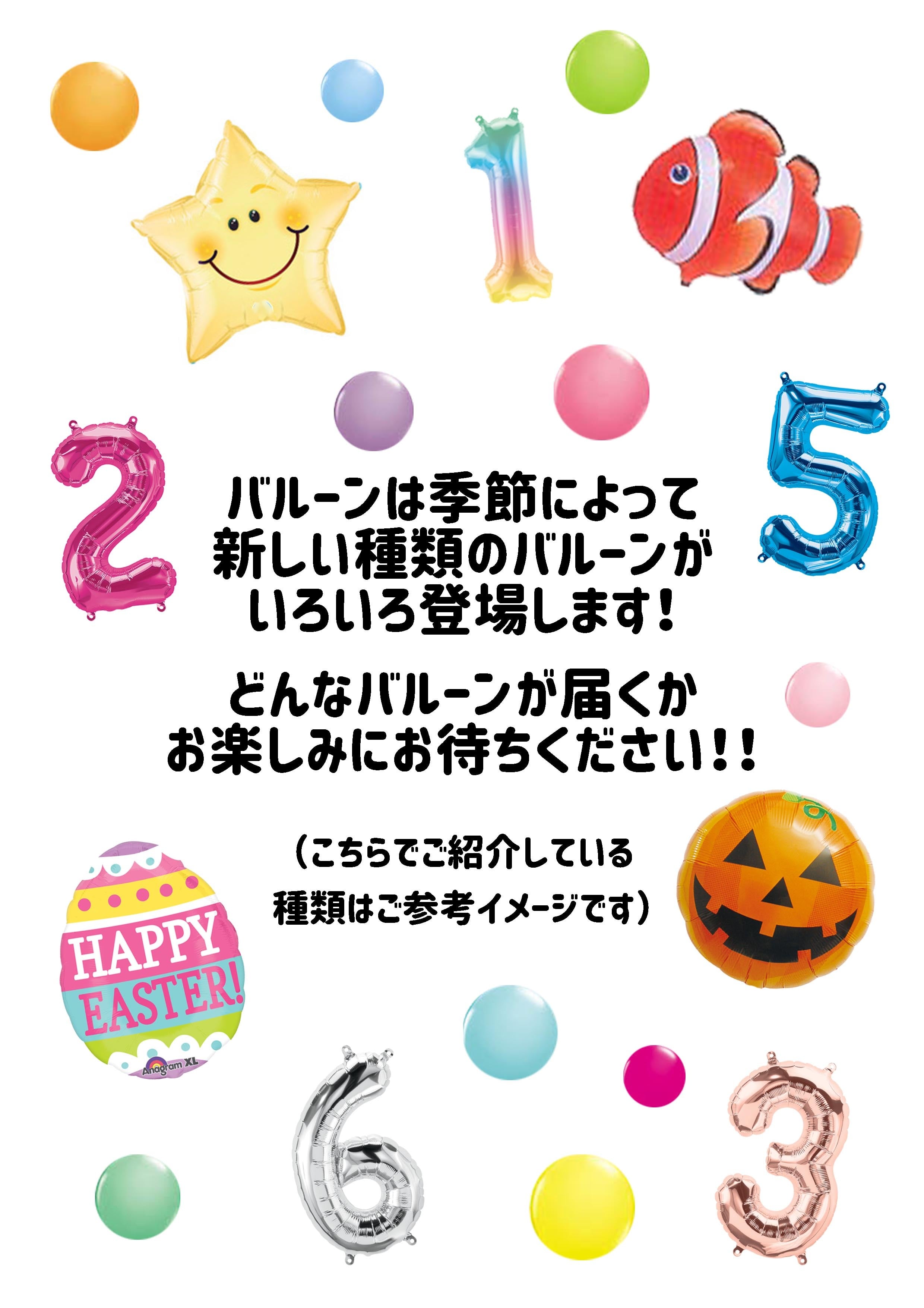 定期便】マンスリーフォト用バルーンセット | Balloon Sketch