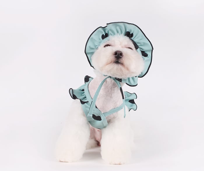 ハートビーチウェア S ~ XL 2color  /  犬服 夏 犬 ビキニ ドッグウェア 可愛い 犬の服 ペット ラッシュガード