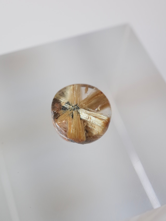 Starburst Rutilated Quartz - B011