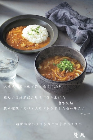 梵天カレーうどん、カレールーギフトSET　計6個　冷凍　保存食