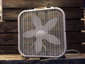 LASKO BOX FAN ボックスファン　ウォールナット