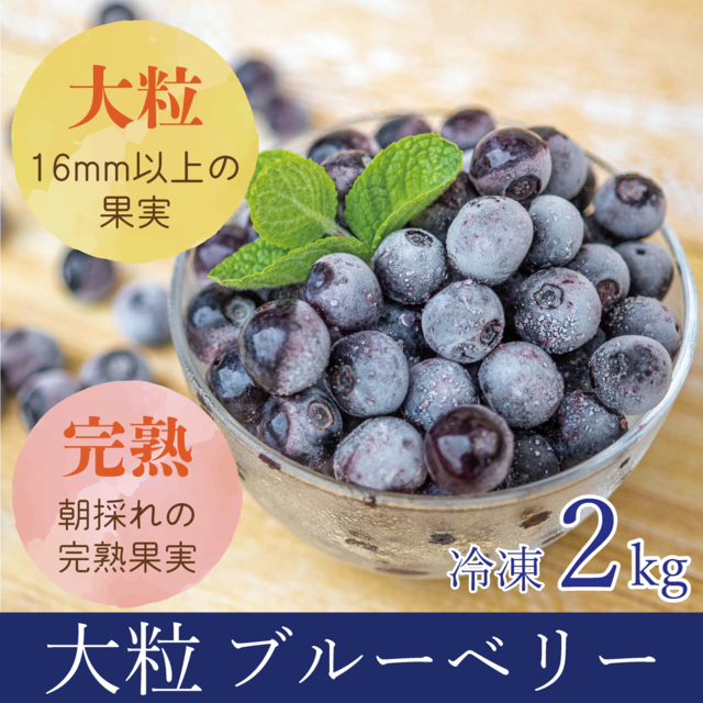 【2023年収穫・大粒】太陽の恵　さんさんブルーベリー　冷凍ブルーベリー 2kg（500g×4袋）