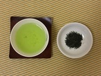 2026年新茶