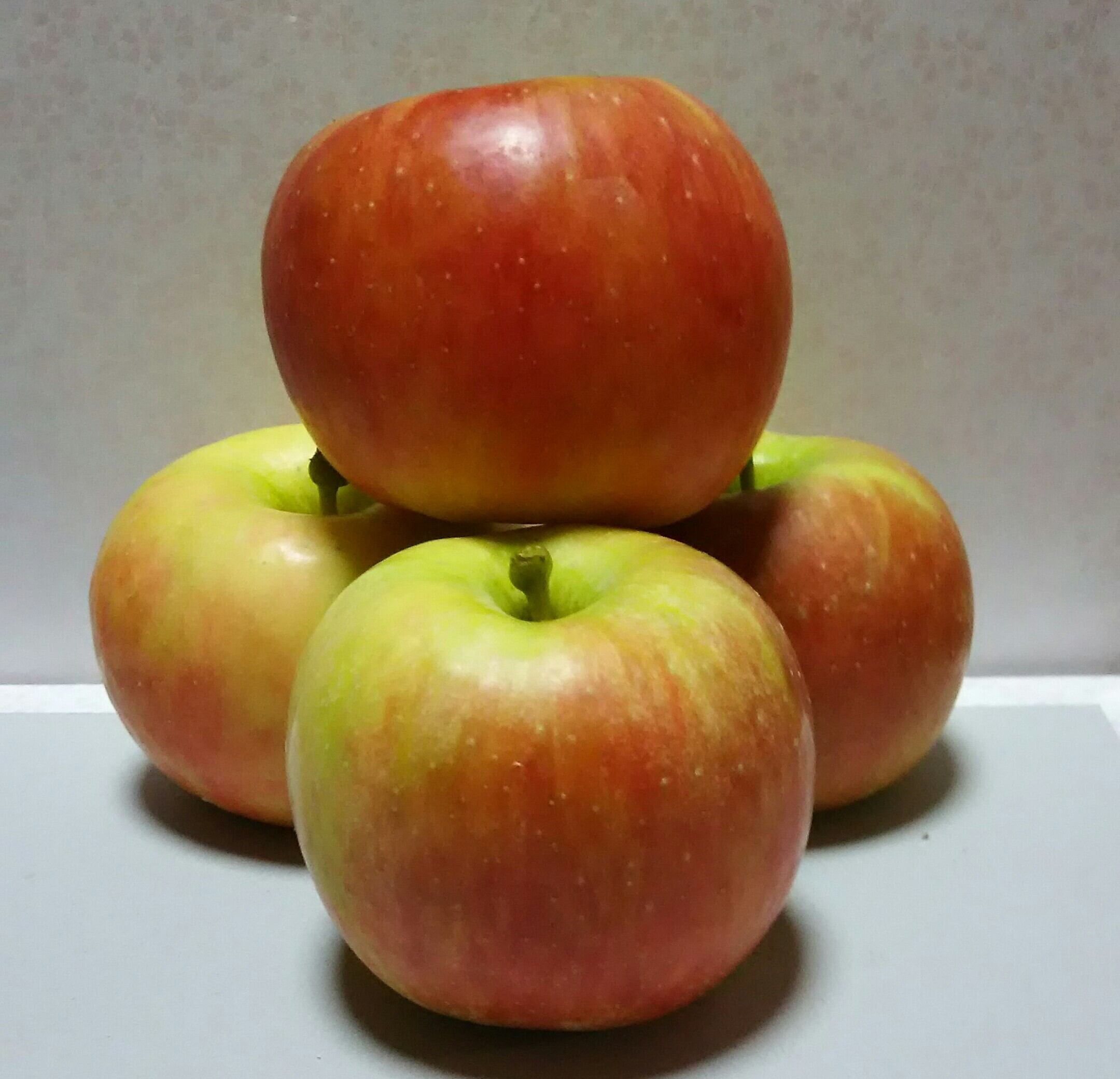 5キロ箱（高徳　こうとく　低農薬・樹上完熟葉とらずりんご　贈答用）　りんご屋・源ちゃん農園　予約販売！　蜜りんご