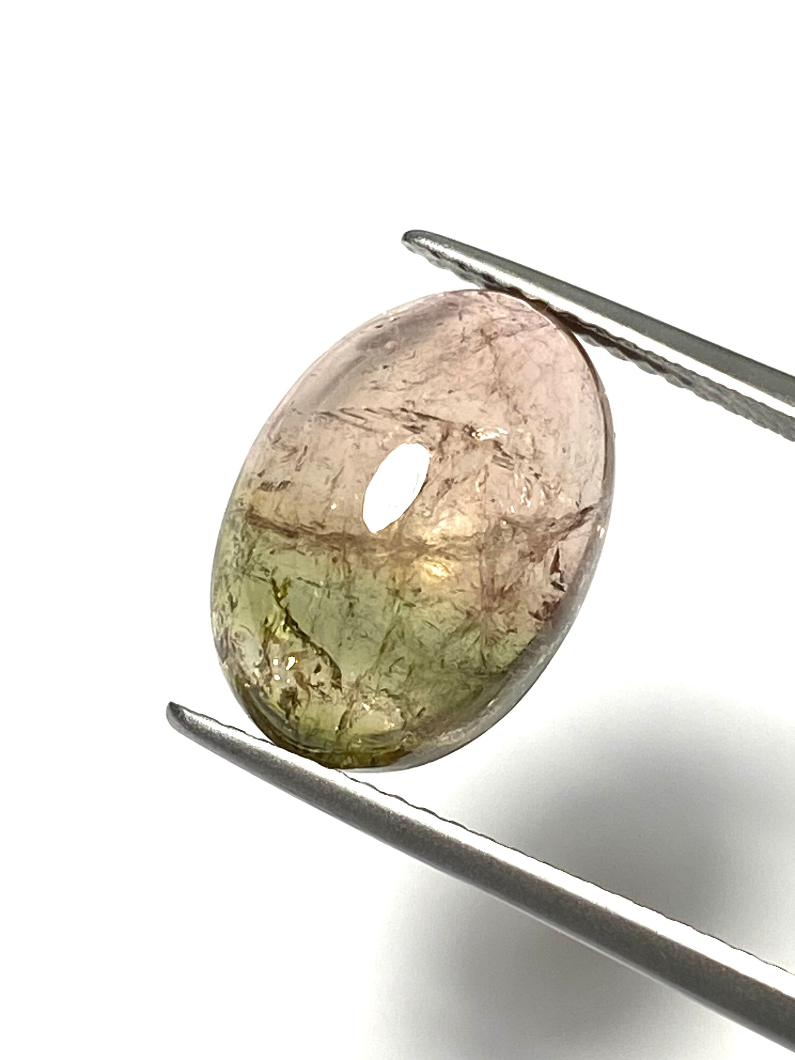 トルマリンページ 12/20新着｜トルマリン | EBiS GEM