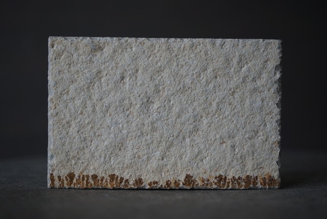 デンドライト 忍石 Dendritic limestone 1508