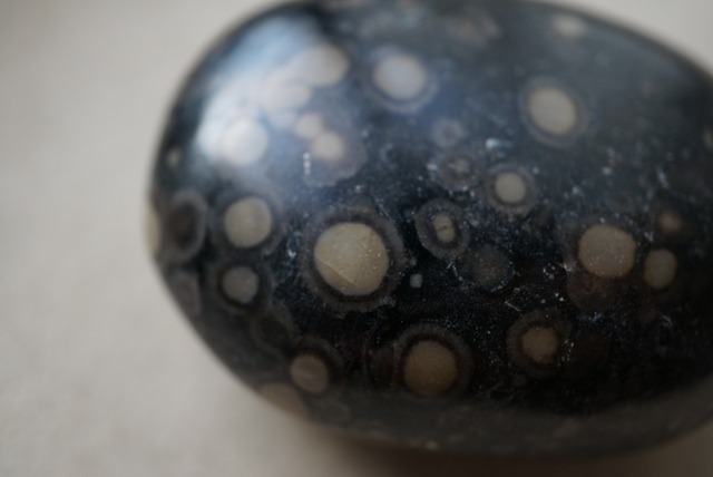 インド産ライオライト Rhyolite 1764