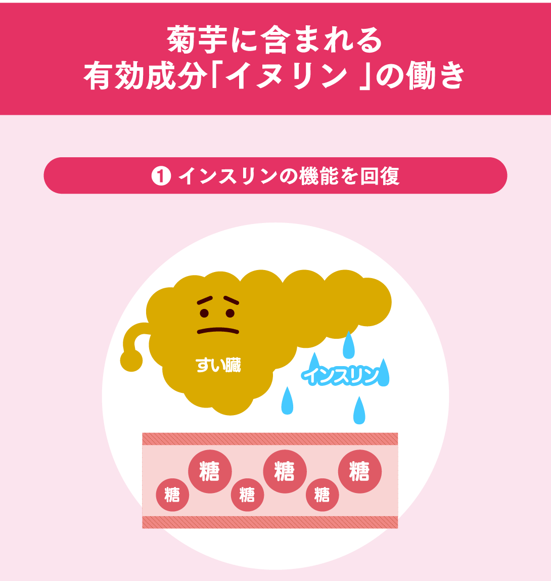 定期購入【機能性表示食品】菊芋の極み 毎月1袋 200粒