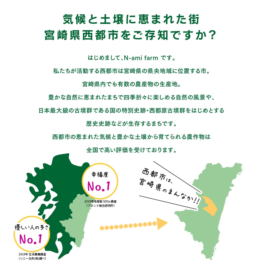R６年　宮崎県産ヒノヒカリ　送料込み　新米 令和6年新米｜予約】宮崎県産 ひのひかり NS乳酸菌配合 10kg（上