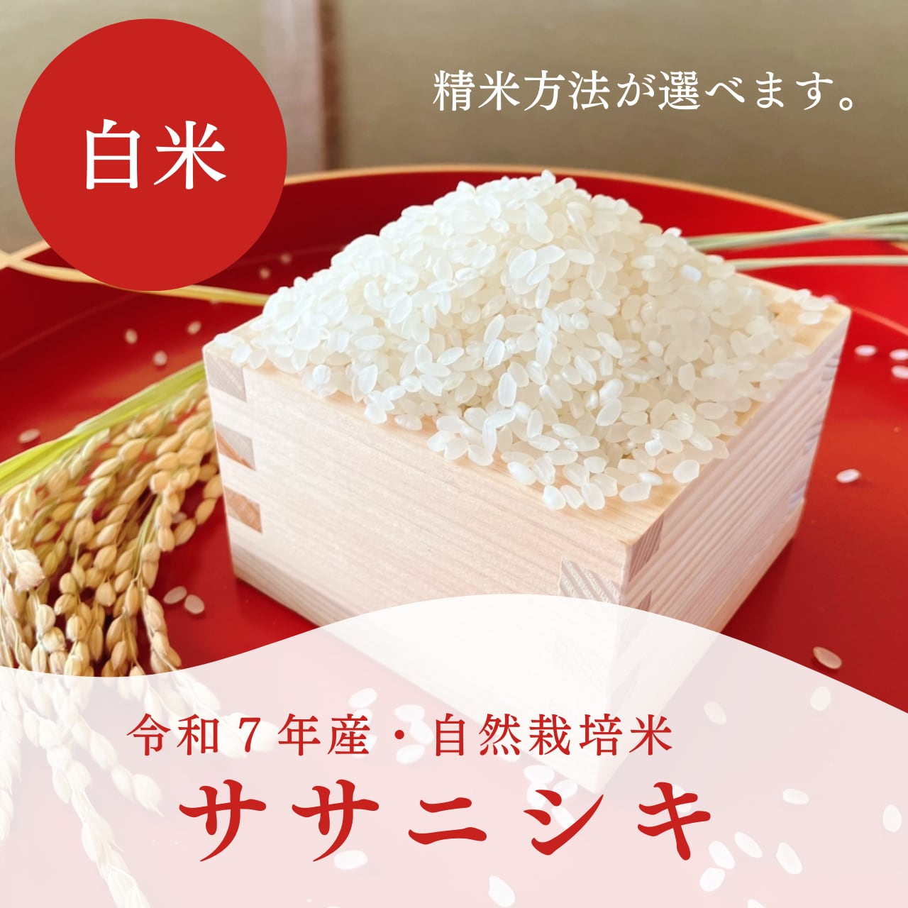 10kg】自然栽培《ササニシキ》（令和7年産） | 自然栽培 天地人