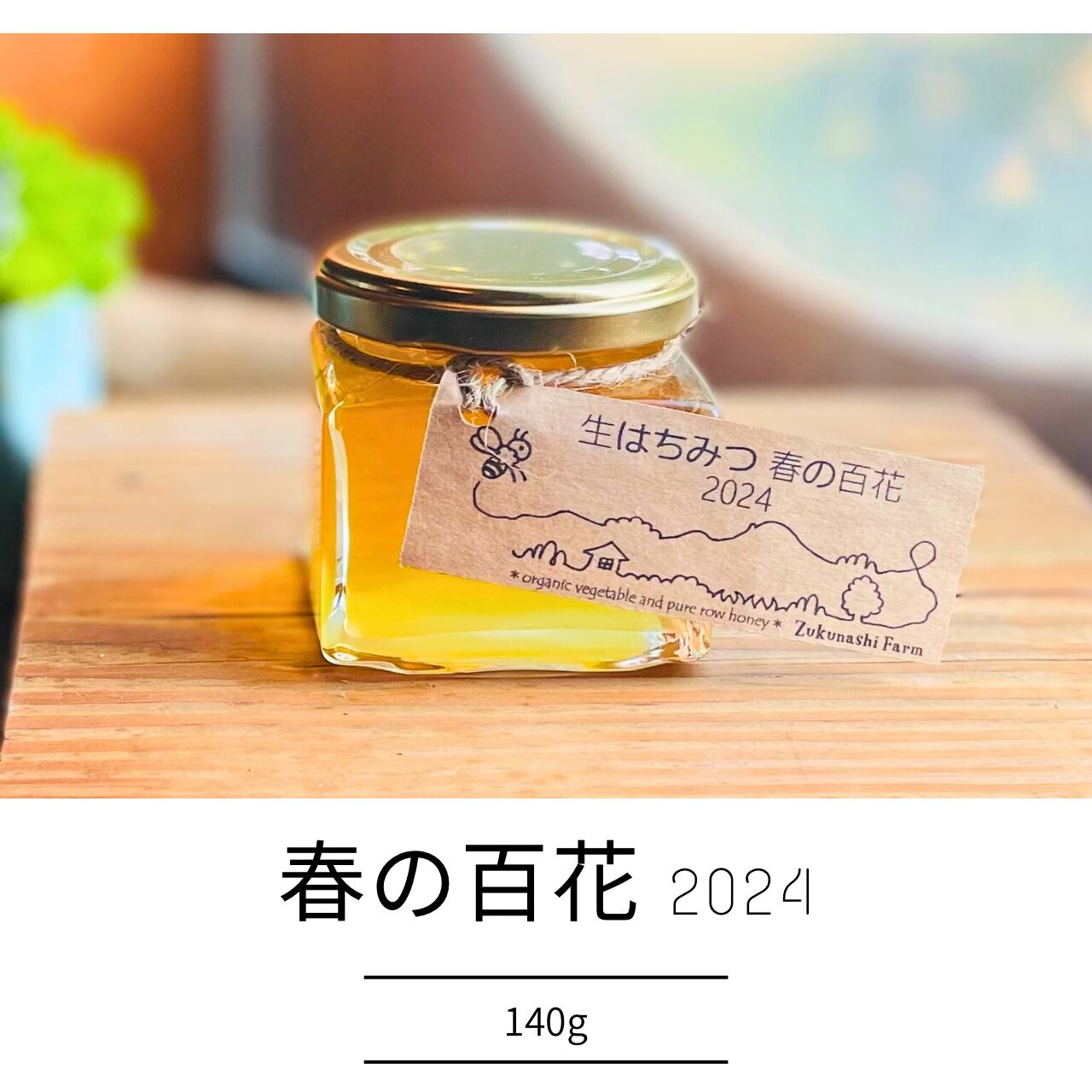宮崎県産 超希少 国産蜂蜜 百花蜜 350g×2本2024年11月採取 宮崎県産 超
