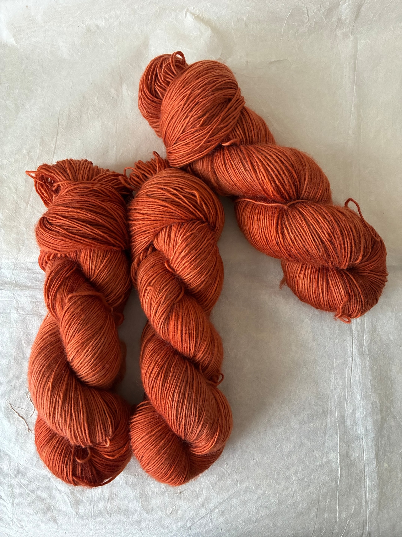 【受注販売: 10月中旬〜下旬に順次発送】枯葉色(meriyasu fingering, meriyasu sock, meriyasu BFL)・画像4