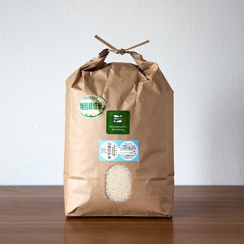 門崎 めだか米 10kg（特別栽培米）白米