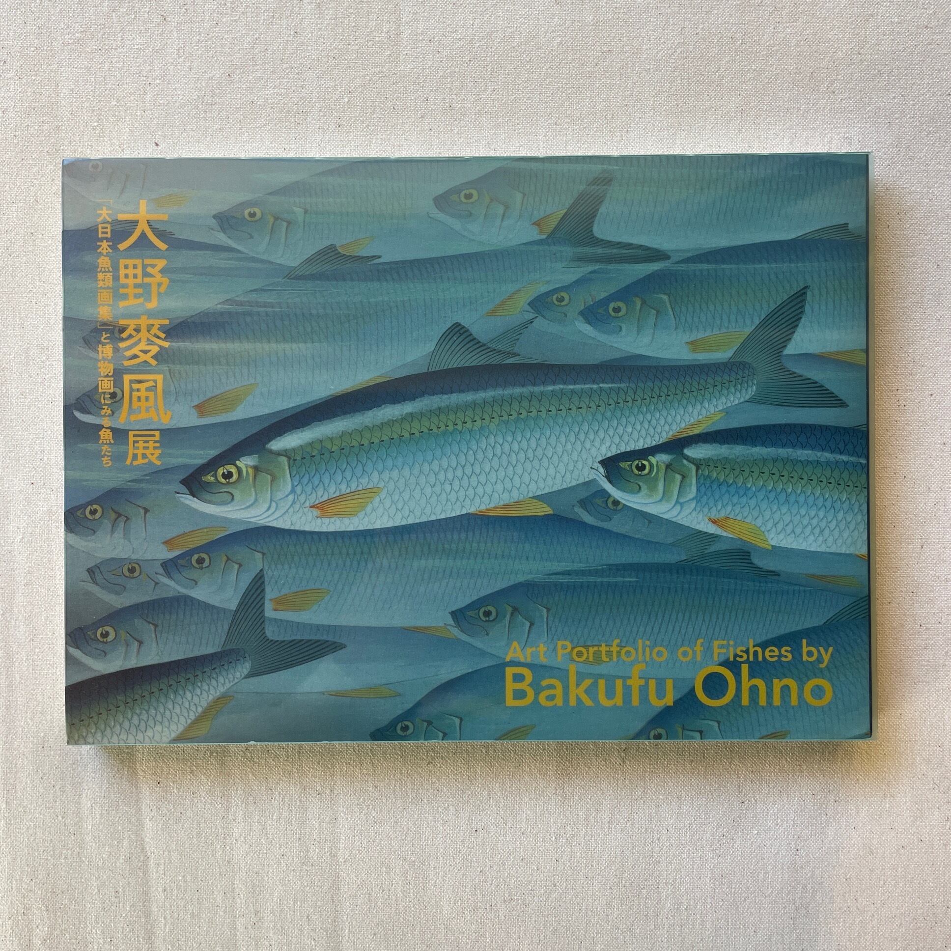 大野麥風展 「大日本魚類画集」と博物画にみる魚たち