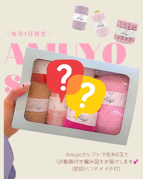 【1日限定】AmuyoわくわくBOX