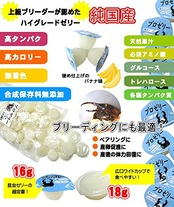 KBファーム バナナ風味 プロゼリー(16g 50個入り) カブトムシ・クワガタ用