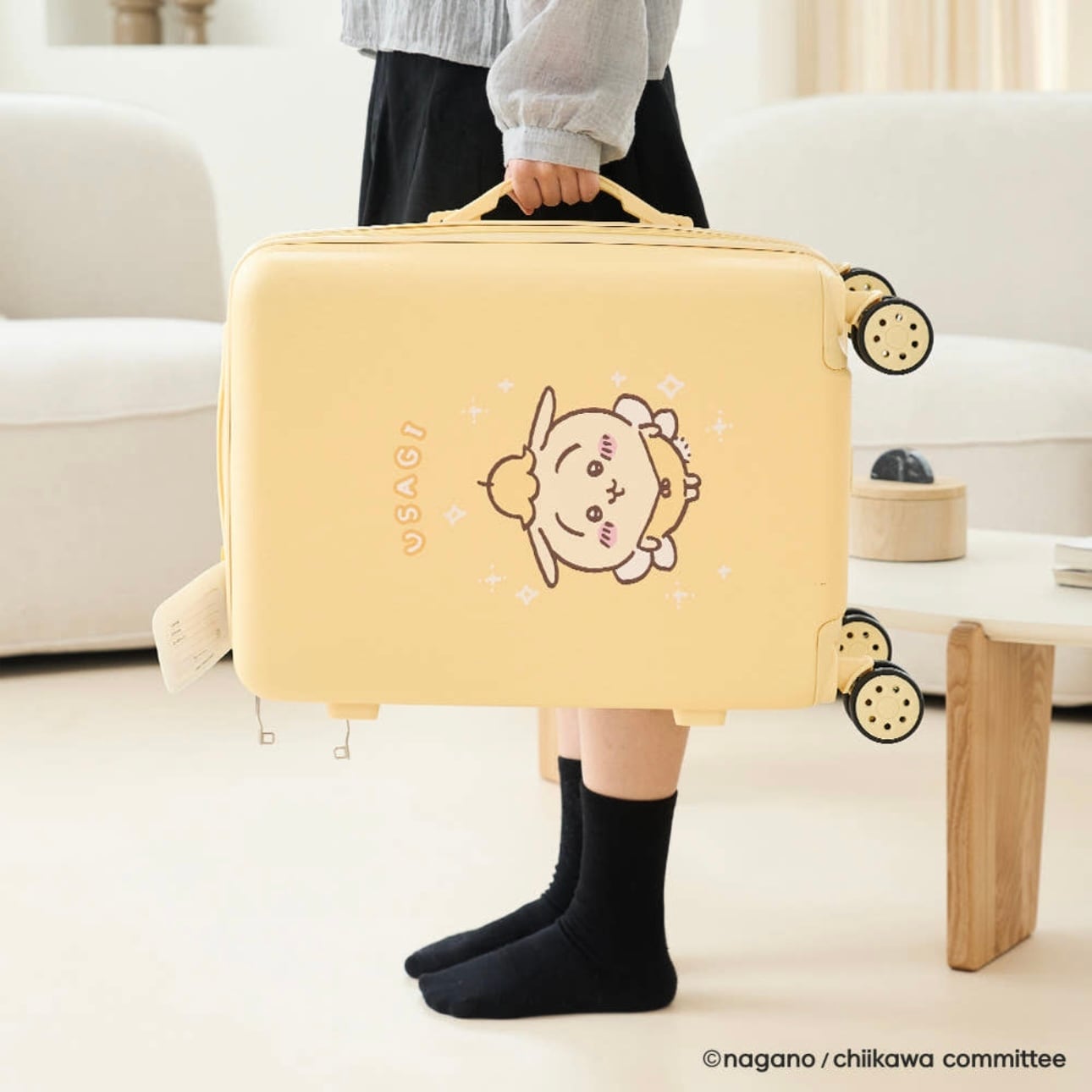 韓国限定】chiikawa carry case usagi / ちいかわ うさぎ ハチワレ
