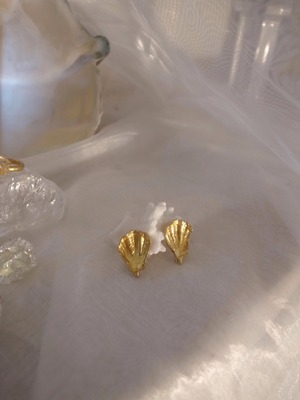 Brass Shells