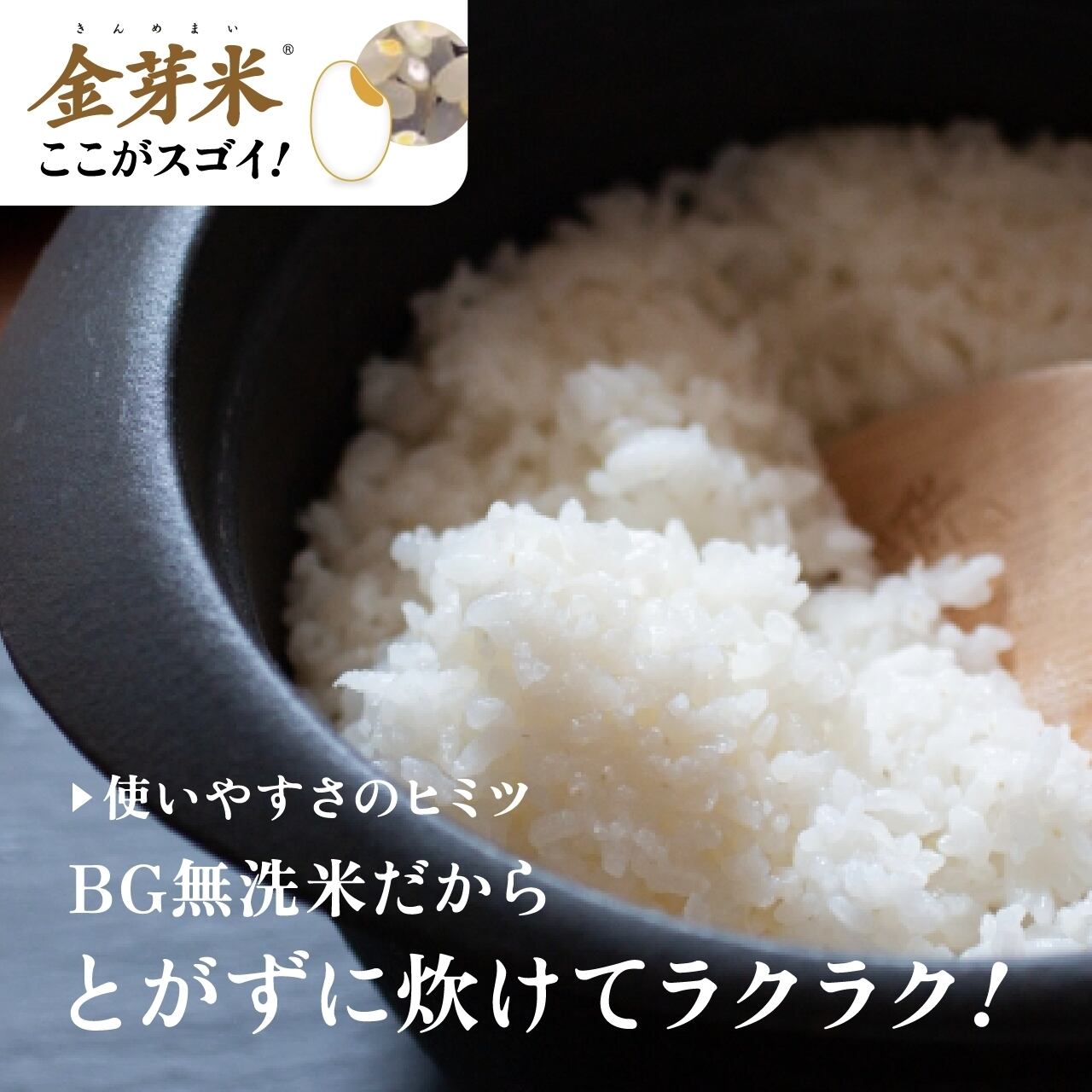 令和7年産 島根県産金芽米きぬむすめ 5キロ 送料込み | JAしまね や
