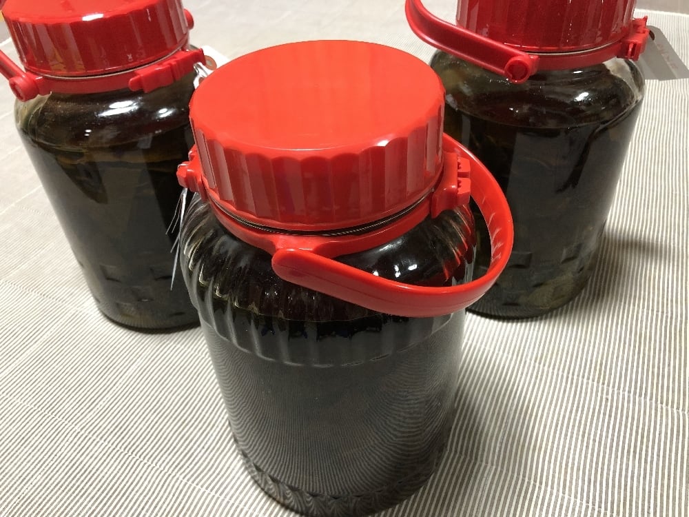 【紀州産柿の葉エキス100mL×5本セット:305】無農薬有機栽培柿の葉 10％OFF【紀州産柿の葉エキス100mL×3本セット:303】和歌山県産・無農薬