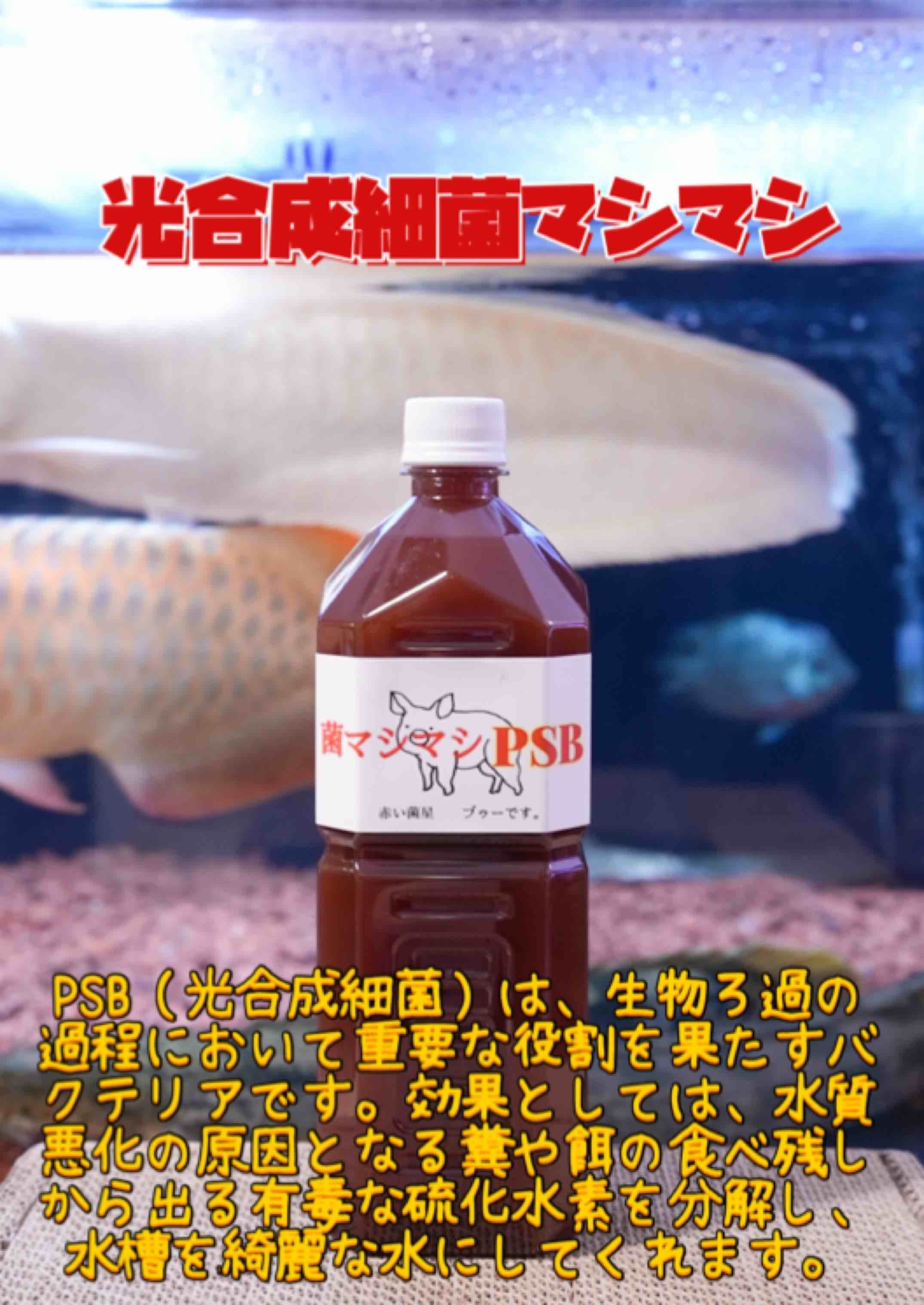 最強バクテリア工房 限定フルセット | 最強のバクテリアを喰らえ