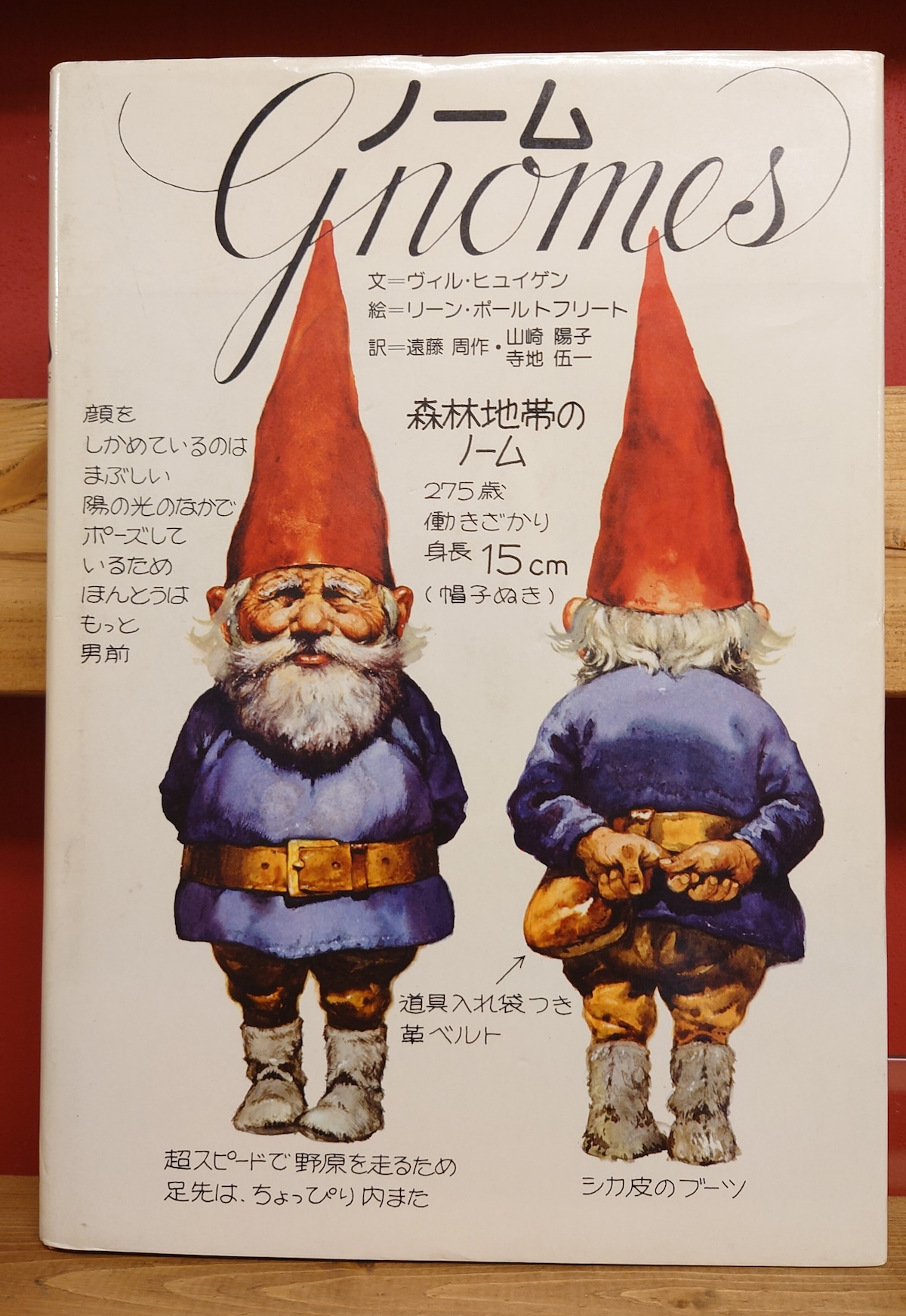 ノーム（gnomes) | 弥生坂 緑の本棚